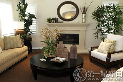 招财树和发财树能一起摆放吗