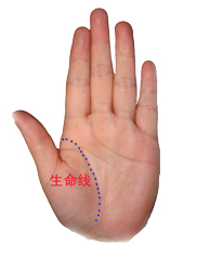 教你看手纹识手相