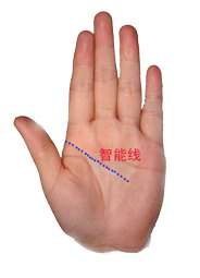 教你看手纹识手相