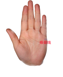 教你看手纹识手相
