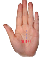 教你看手纹识手相