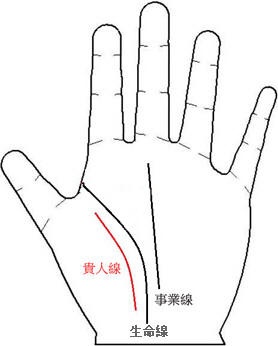 贵人线在手掌不同部位出现分别代表什么.jpg