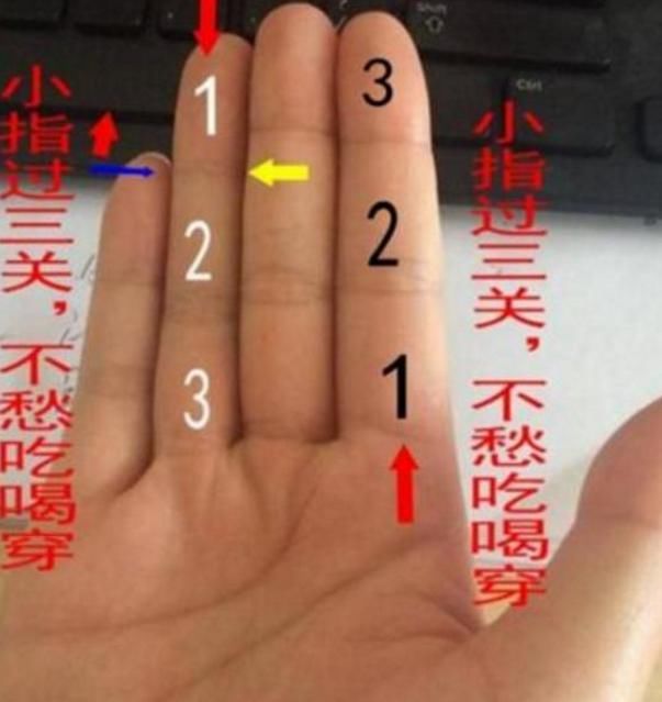 不论男女小指有此特征手上一旦出现定富贵
