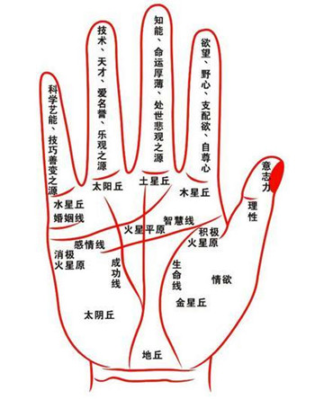 手相手纹怎么看 掐指街 手相手纹怎么看 掐指街
